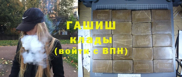 крисы Мегион
