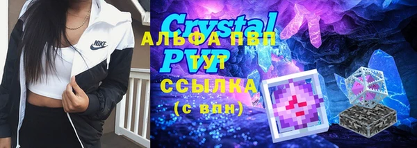 крисы Бронницы