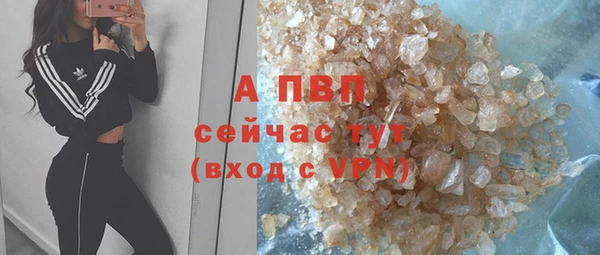 крисы Бронницы
