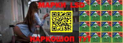 СК Балашиха