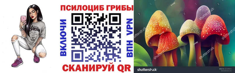 дарнет шоп  Вичуга  Псилоцибиновые грибы MAGIC MUSHROOMS 