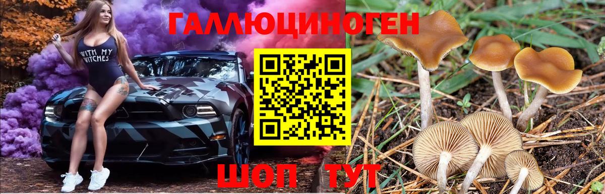 Галлюциногенные грибы ЛСД Вичуга