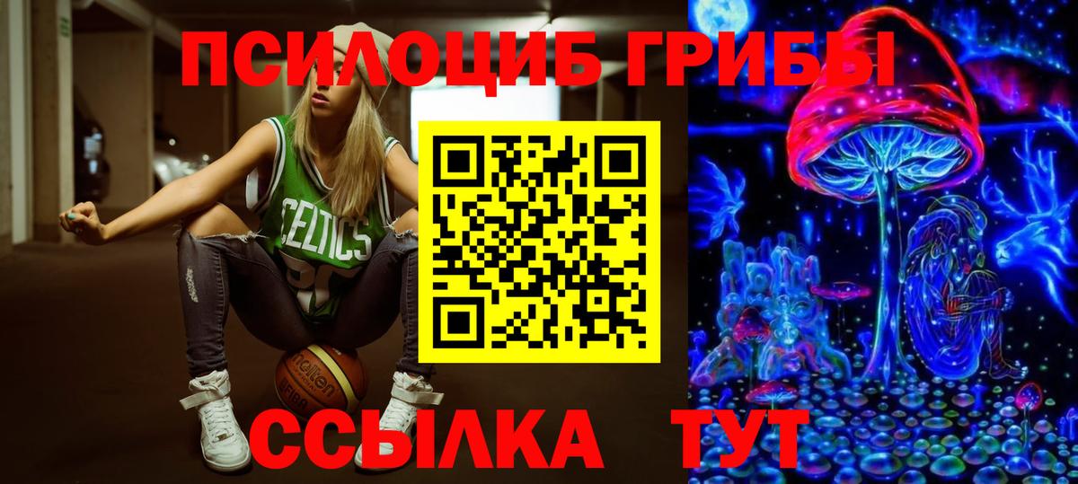 купить   Вход с VPN  Вичуга  Псилоцибиновые грибы прущие грибы 
