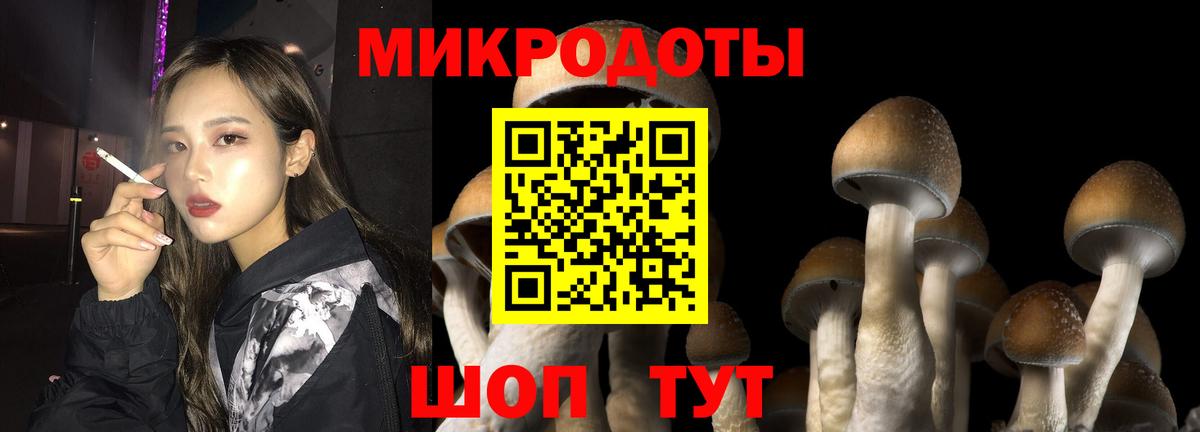 Псилоцибиновые грибы мицелий Вичуга